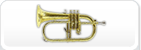Flugel Horns